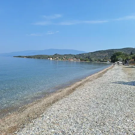 Armonia & Anemos Family Апартаменты Каламос